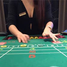 Live casino table games section on jili demo entertainment platform